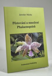 Pěstování a množení Phalaenopsisů - 