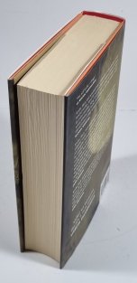 Muži, kteří nenávidí ženy - Milénium 1