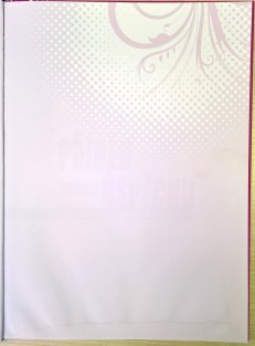 Violetta - Příběh jednoho úspěchu