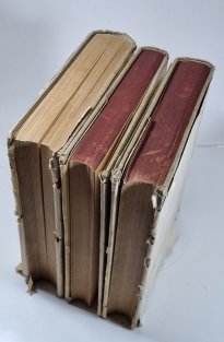 Vorgeschichte der deutschen Stämme I.-III.