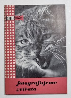 Fotografujeme zvířata 