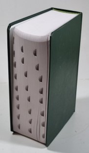 The Merck Manual of Diagnosis and Therapy (Nineteenth edition)