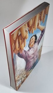 Chinese Propaganda Posters