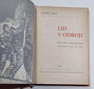 Lid v odboji