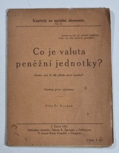 Co je valuta peněžní jednotky?