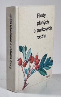 Plody planých a parkových rostlin