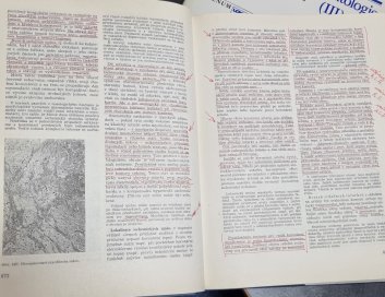 Patologie I. - III.