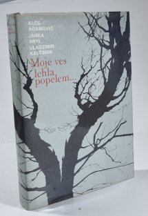 Moje ves lehla popelem...