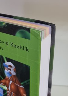 Memorix anatomie ( 5. vydání )