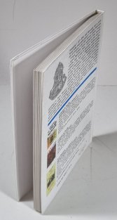 Svatopluk Veliký, král Moravanů a Slovanů