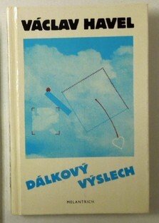 Dálkový výslech