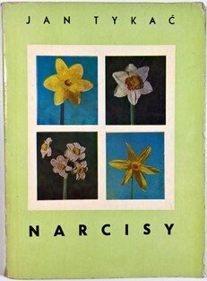 Narcisy