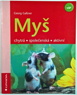 Myš - chytrá, společenská, aktivní