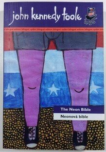 Neonová bible / The neon bible