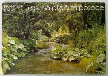 Rok na ptačím potoce
