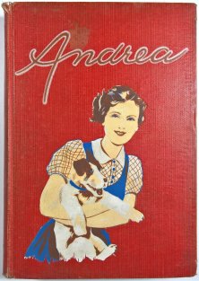 Andrea - román mladých srdcí