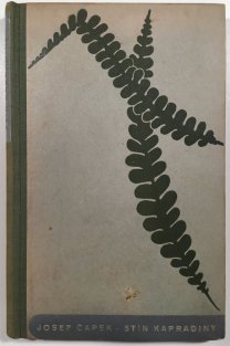 Stín kapradiny
