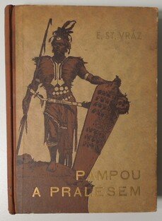 Pampou a pralesem