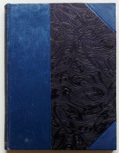 Bojovník za svobodu národa ( Karel Havlíček Borovský )