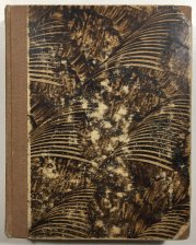 Malá Meg - románová příloha Národní politiky - 