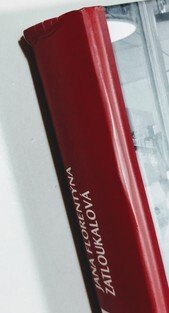 Hovory s řezníkem - Kuchařka pro dceru z masa a kostí