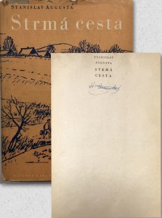 Strmá cesta