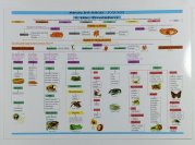 Přehled živé přírody - Zoologie - 