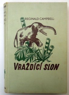 Vraždící slon