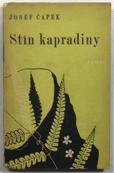 Stín kapradiny - 