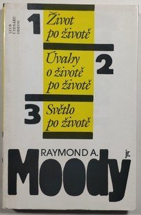 Život po životě / Úvahy o životě po životě / Světlo po životě