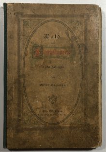 Wald- und Jagdstudien in jeder Jahreszeit