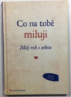 Co na tobě miluji - Můj rok s tebou