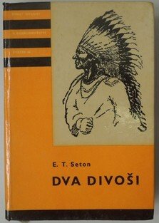 Dva divoši