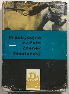 Praobyčejná zvířata