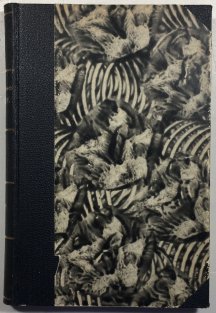 Světla, která zhasla