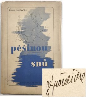 Pěšinou snů