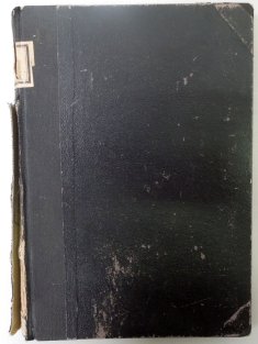 Pět neděl v baloně