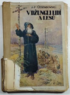 V džungli lidí a lesů