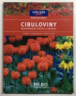 Cibuloviny - nejkrásnější druhy a odrůdy