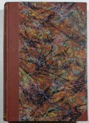 Tajné fronty v plamenech - 