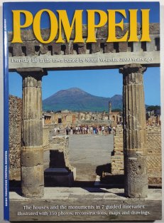 Pompeii -the Guide to the Archaeological Sites