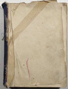 Zelený lučištník