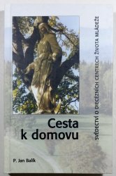 Cesta k domovu - Svědectví o diecézních centrech života mládeže