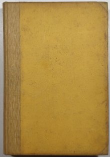 Posvěcení života - Myšlenková revise i perspektivita