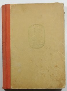 Dívky z celého světa