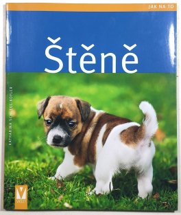 Štěně