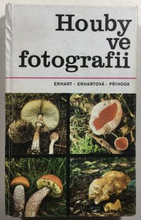 Houby ve fotografii