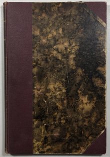 Belletrie Karla Havlíčka Borovského