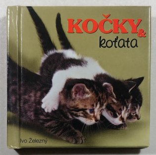 Kočky & koťata