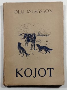 Kojot